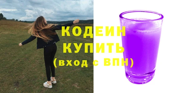 ешки Вяземский