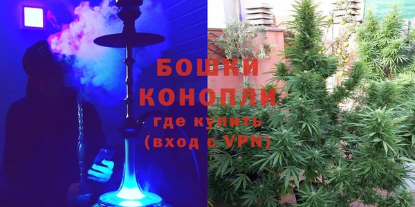 ешки Вяземский
