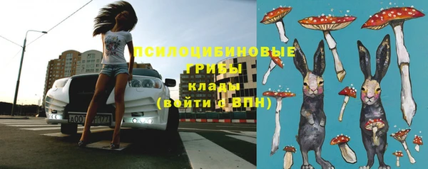 ешки Вяземский