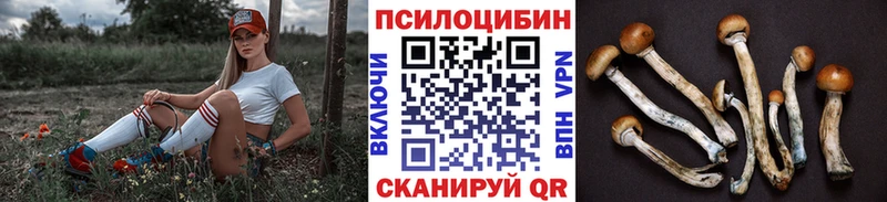 где найти наркотики  Новая Усмань  Галлюциногенные грибы ЛСД 